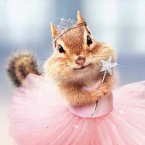 Meet your Posher, Pat - Picture 1 of 1